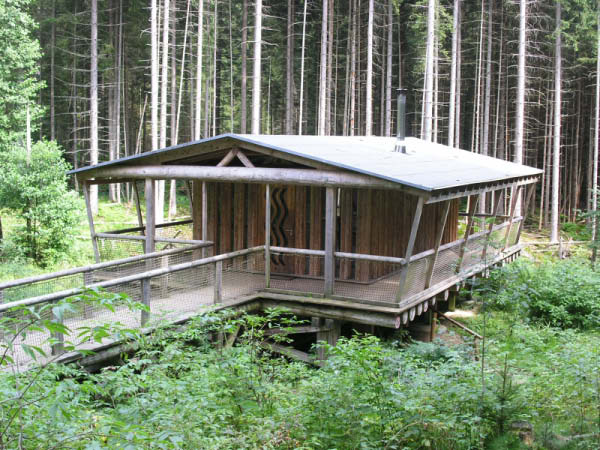 Wildnis1_08_011
