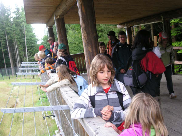 Wildnis3_08_030