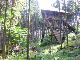 Wildnis1_08_023