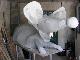 Faschingvorbereit_09_001