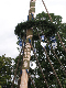 KirwabaumAuf_09_020
