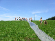 Western2a_09_011