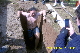 KirwabaumAufb_10_003