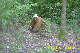 KirwaMonBaerb_10_013