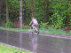 Radtour_10_009