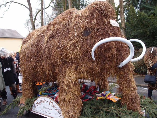 Faschingszug_12_028