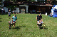 DG1_Famfest_067