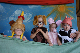 DG1_Famfest_186