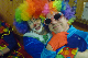 Faschkinder_18_061
