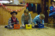 Faschkinder_18_073