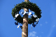 Kirwa4b_SonAustanz_19_043