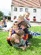 Zeltl_Pommelsbrunn_05 011