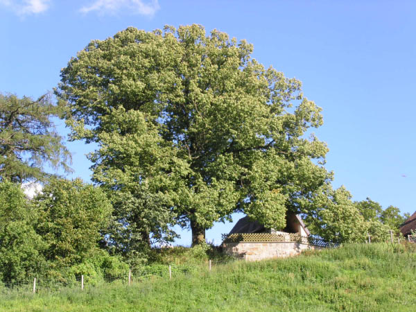 Hoehengau_06_001