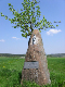 Marterl_06_005